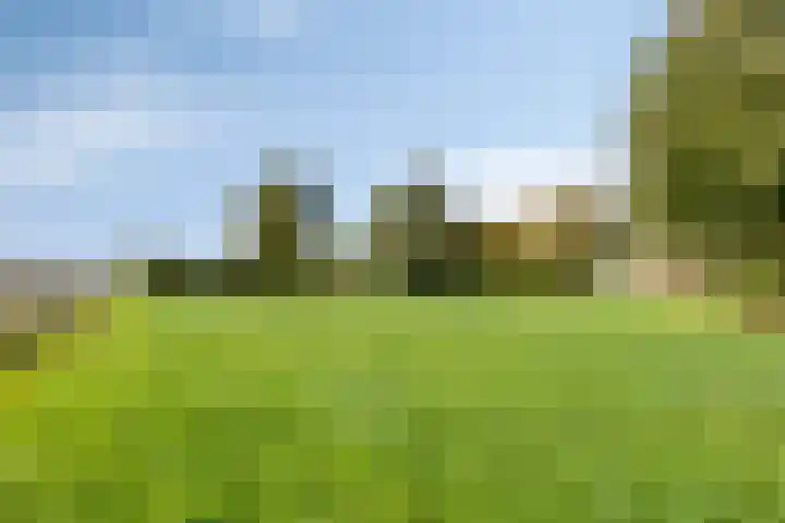 Akkerweg 20 Nieuwlande thumbnail 43