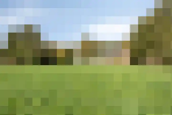 Akkerweg 20 Nieuwlande thumbnail 44