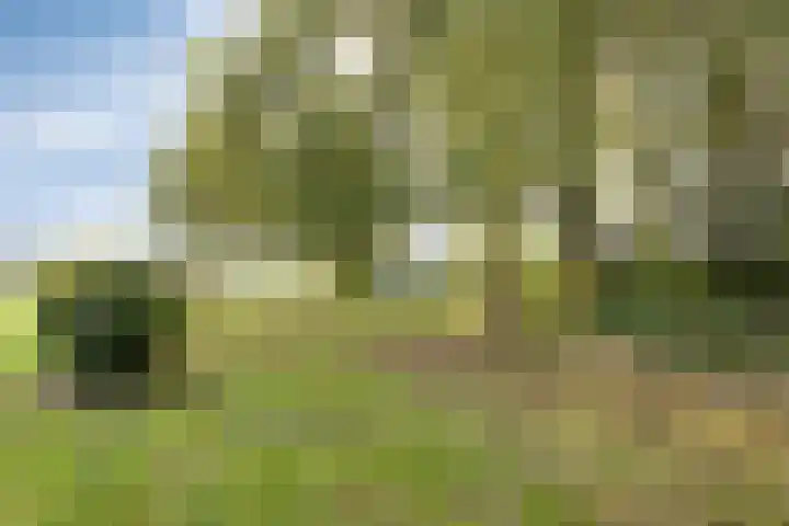 Akkerweg 20 Nieuwlande thumbnail 47