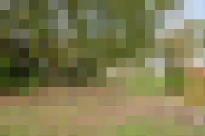 Akkerweg 20 Nieuwlande thumbnail 48