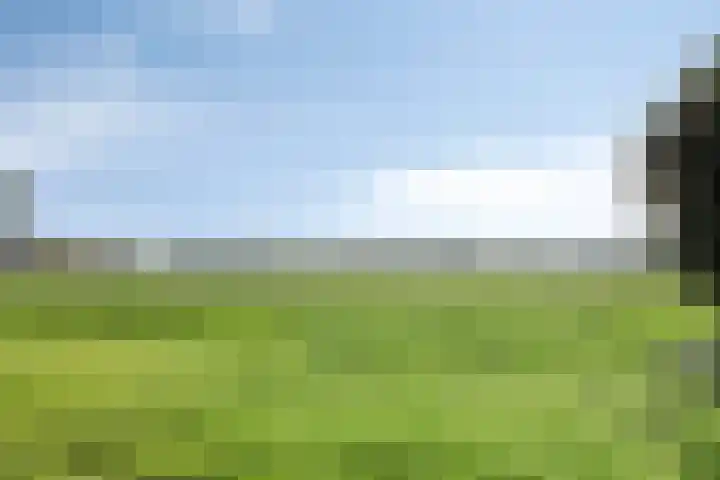Akkerweg 20 Nieuwlande thumbnail 5