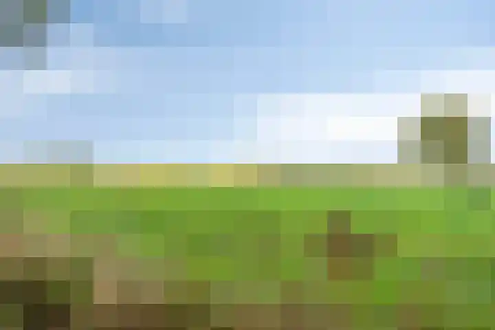 Akkerweg 20 Nieuwlande thumbnail 50