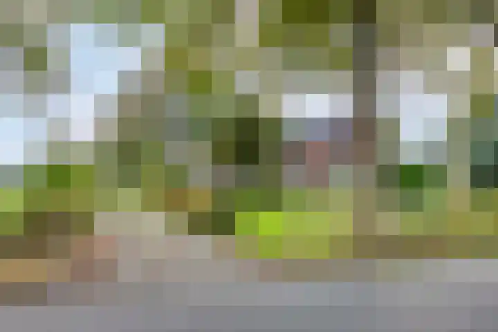 Akkerweg 20 Nieuwlande thumbnail 51