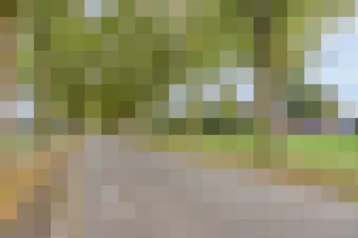 Akkerweg 20 Nieuwlande thumbnail 52