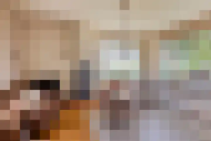Akkerweg 20 Nieuwlande thumbnail 8