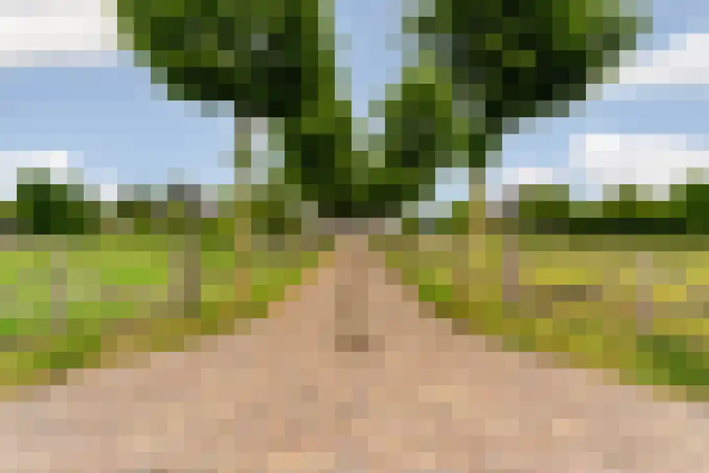 Akkerweg 23 Wijchen thumbnail 31