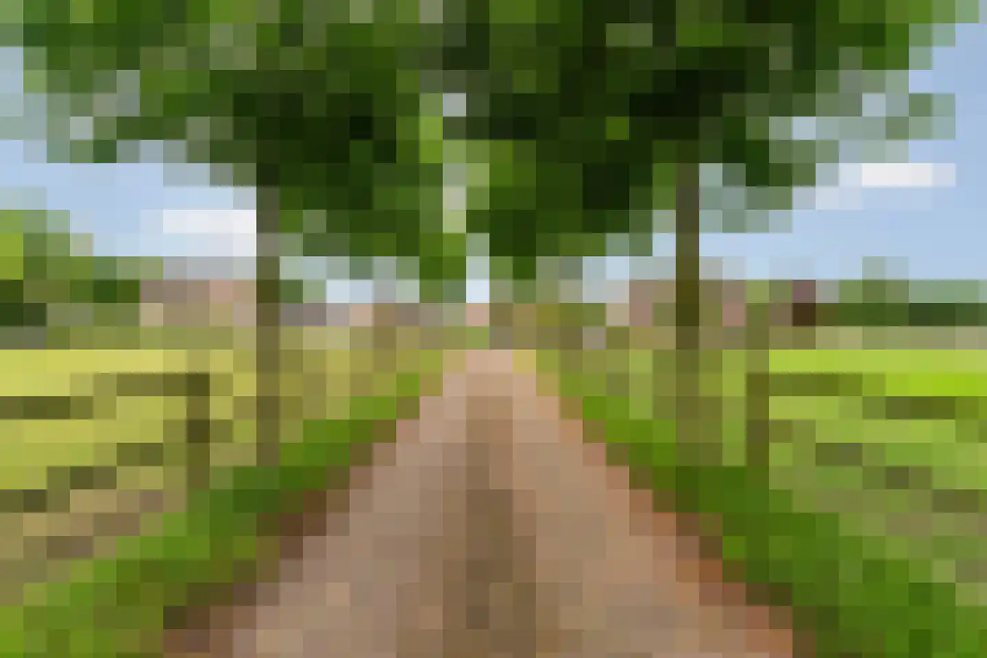 Akkerweg 23 Wijchen thumbnail 32