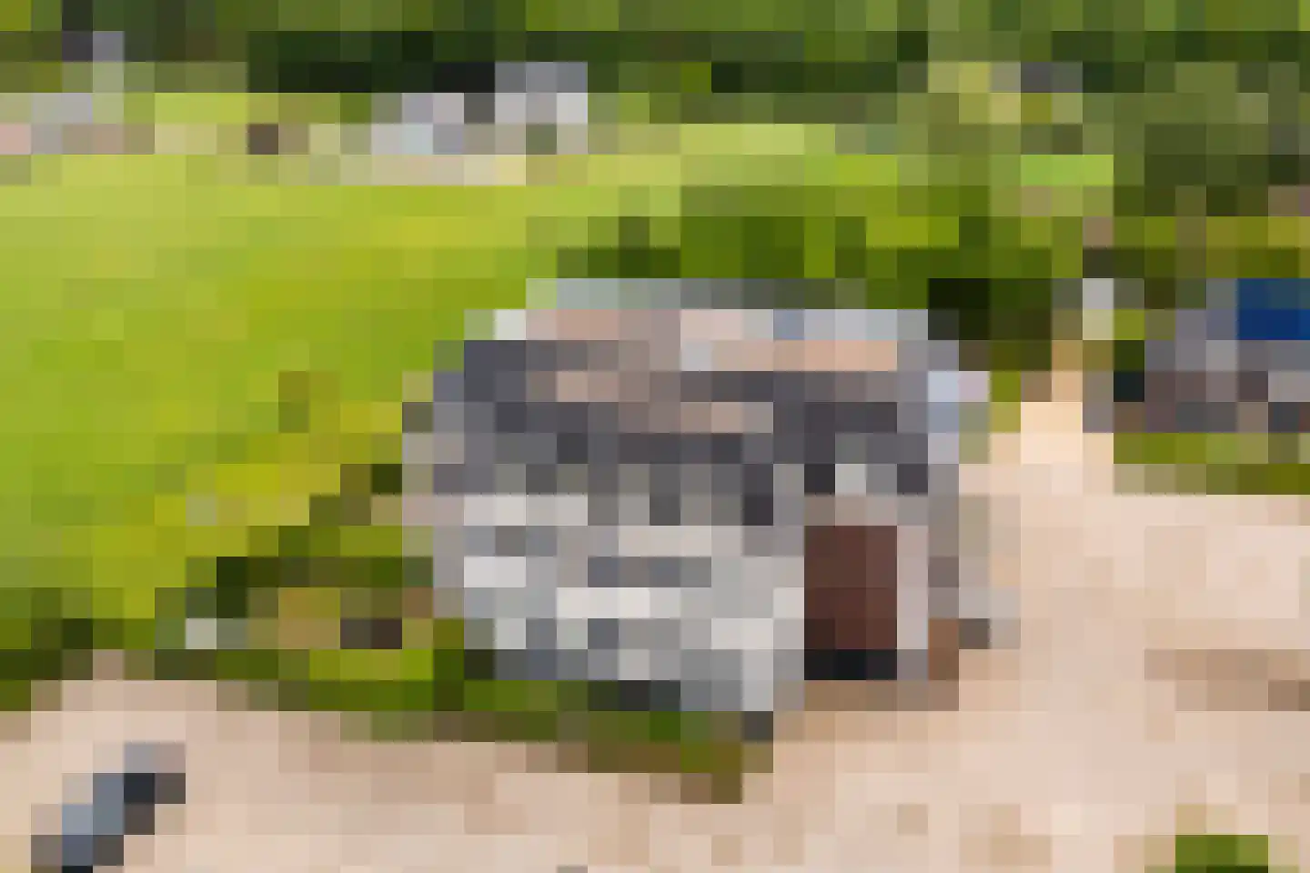Akkerweg 23 Wijchen thumbnail 36