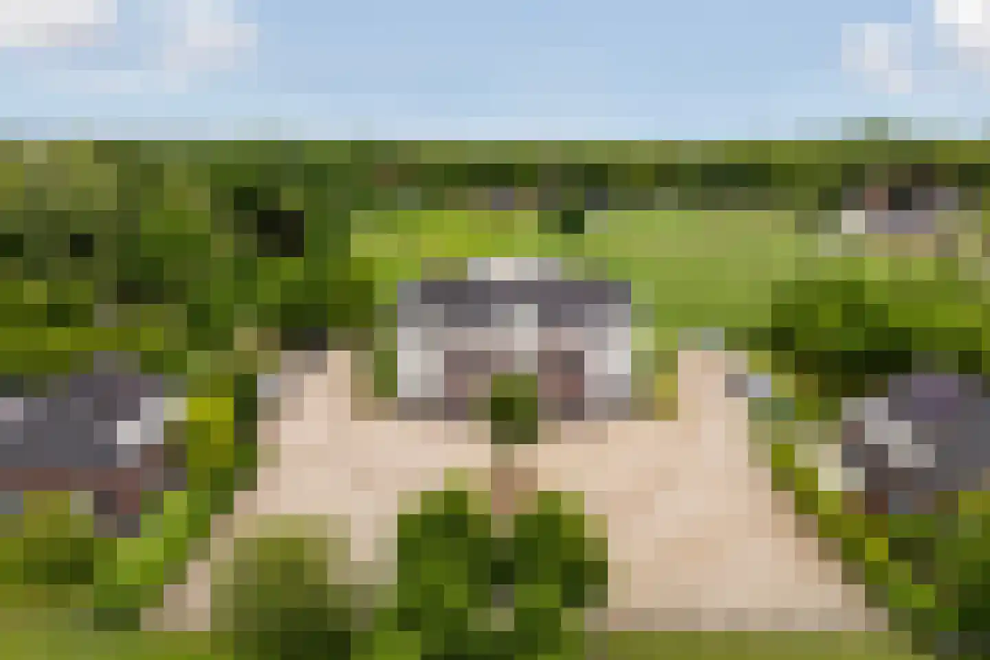 Akkerweg 23 Wijchen thumbnail 37