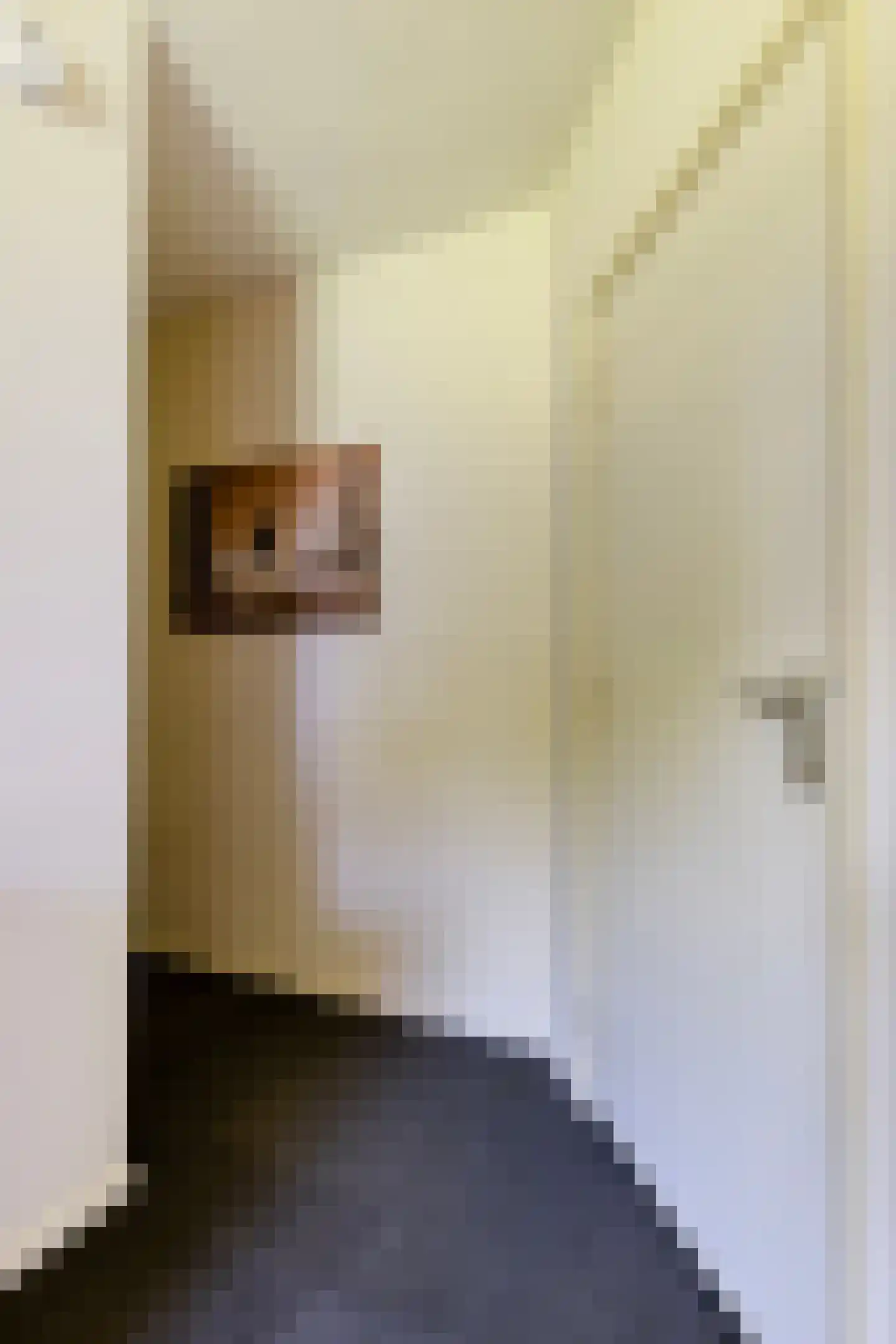 Akkerweg 3 A Oirschot thumbnail 30