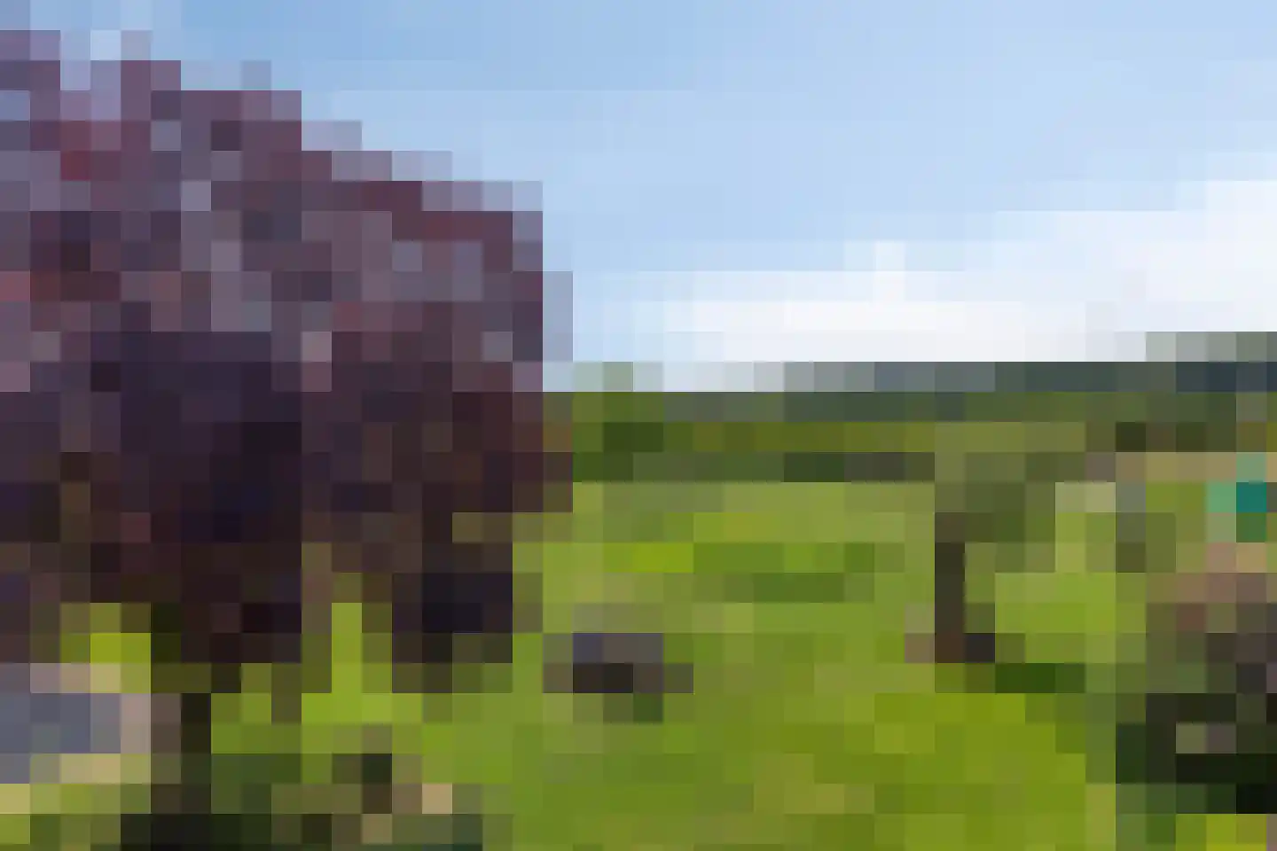 Akkerweg 3 A Oirschot thumbnail 50