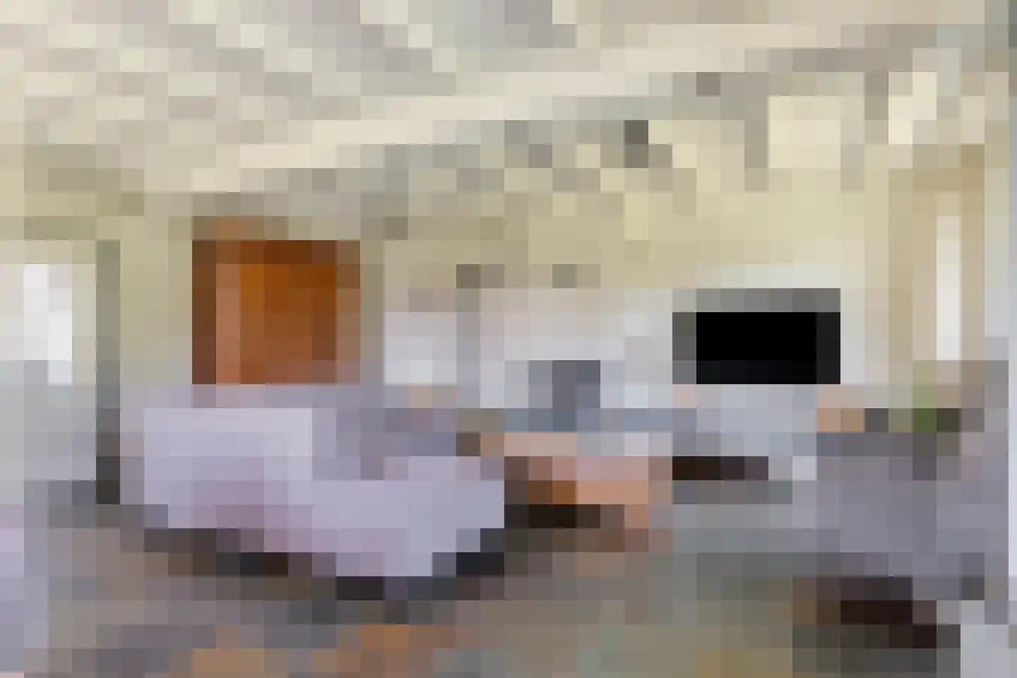 Akkerweg 3 A Oirschot thumbnail 8