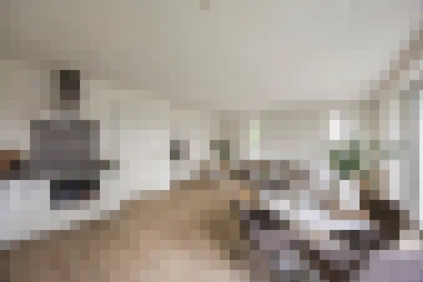 Akkerweg 32 Linne thumbnail 12