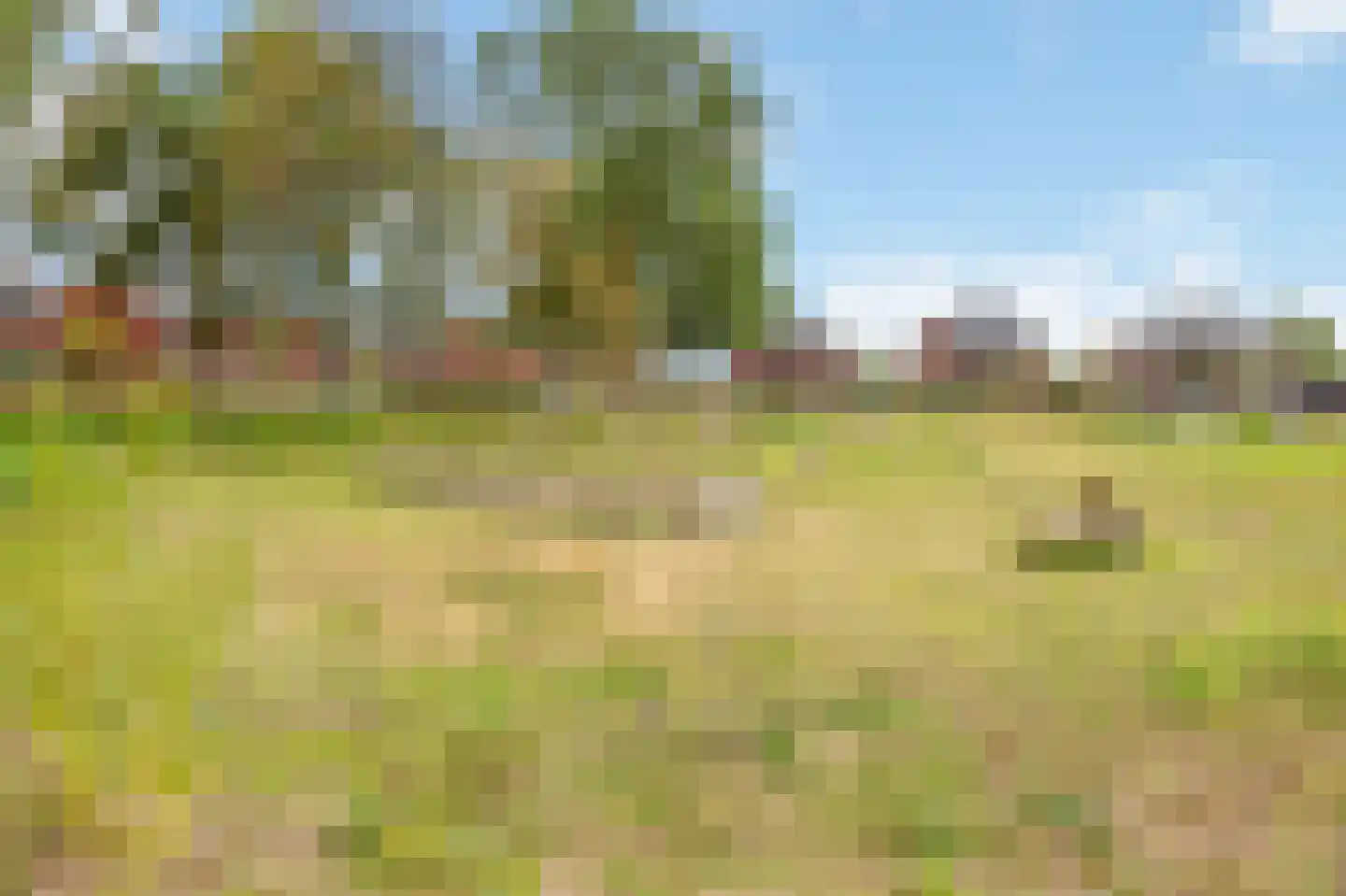 Akkerweg 32 Linne thumbnail 21