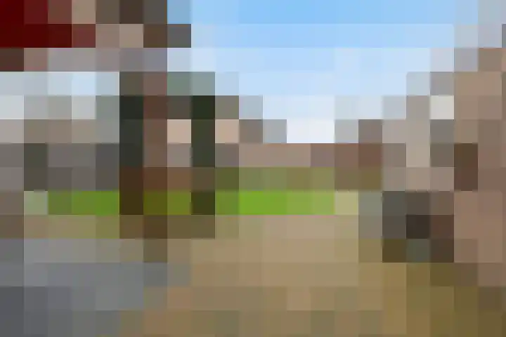 Akkerweg 34 Hulshorst thumbnail 35