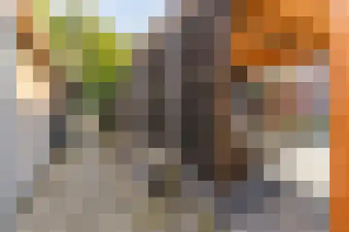 Akkerweg 34 Musselkanaal thumbnail 41