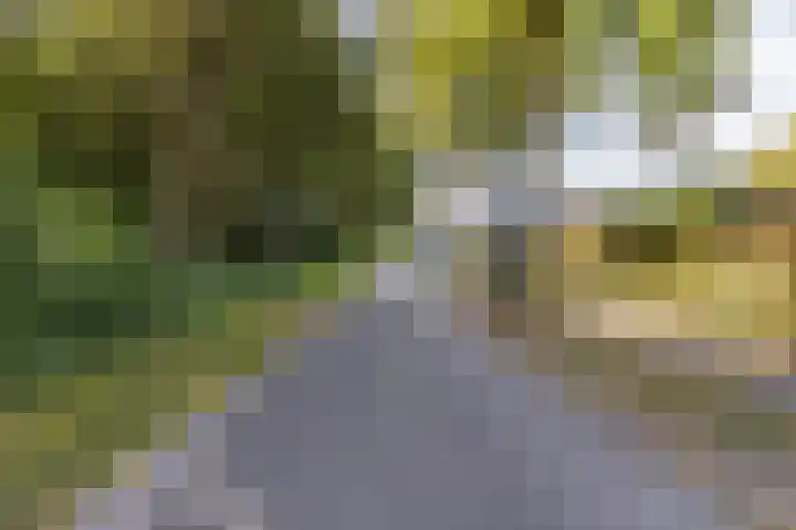 Akkerweg 34 Musselkanaal thumbnail 46