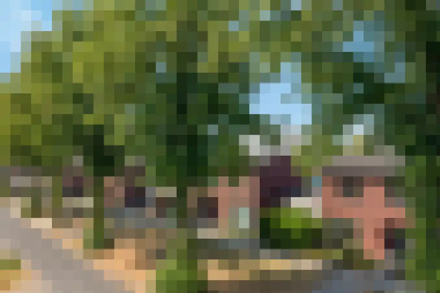 Akkerweg 38 Venray thumbnail 22