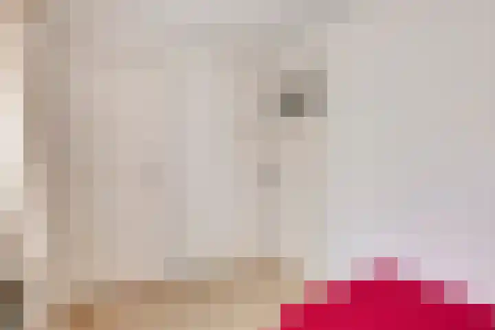 Akkerweg 4 Milheeze thumbnail 33