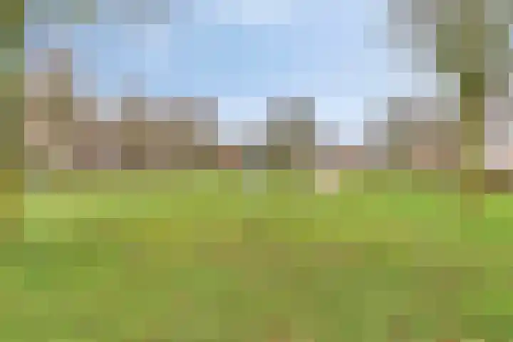 Akkerweg 4 Milheeze thumbnail 50