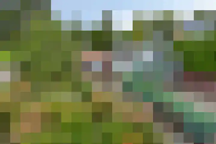 Akkerweg 4 Soest thumbnail 28