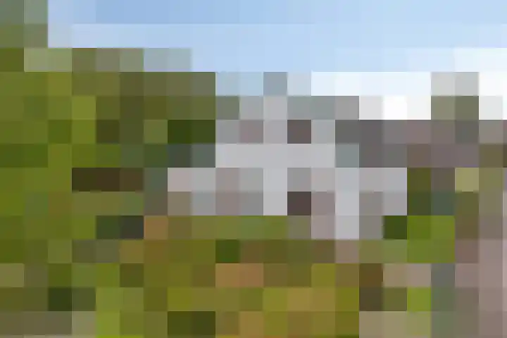 Akkerweg 4 Soest thumbnail 32