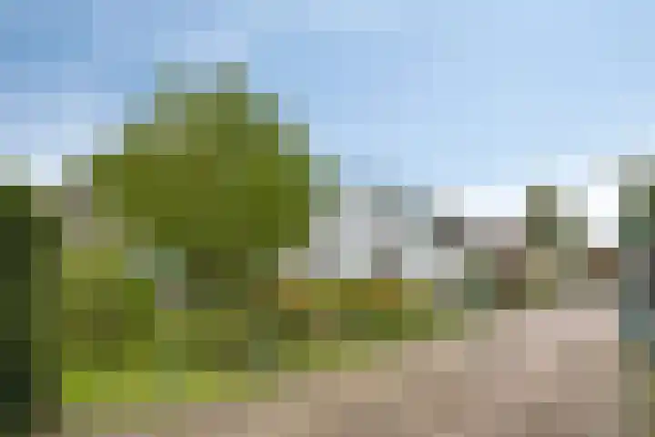 Akkerweg 4 Soest thumbnail 33