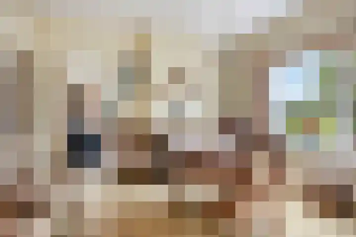 Akkerweg 4 Soest thumbnail 5