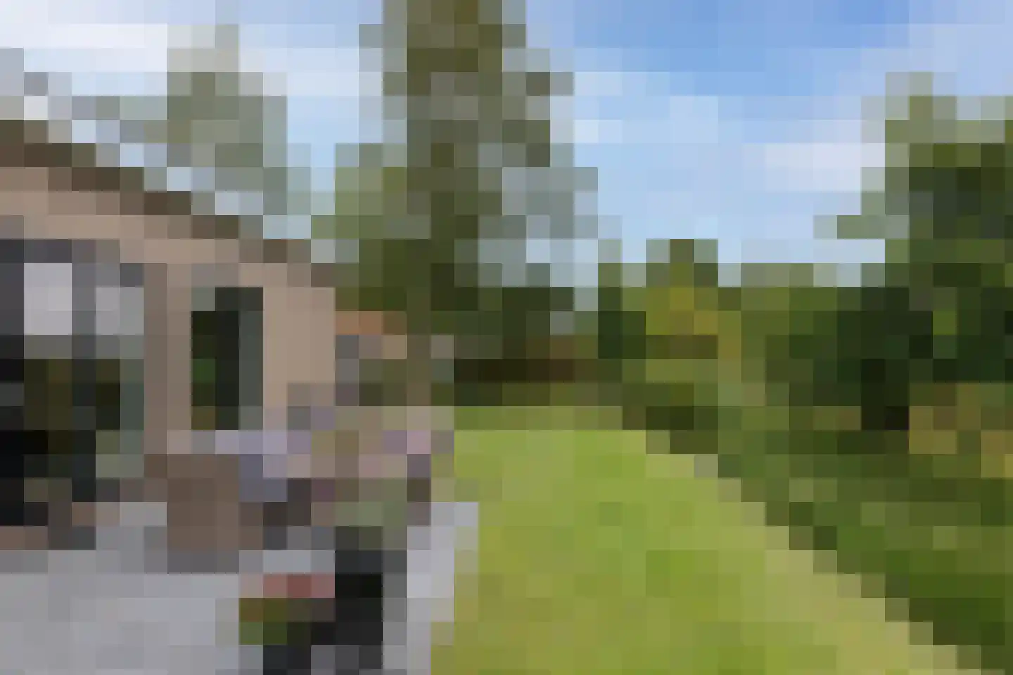 Akkerweg 41 090 Den Oever thumbnail 8