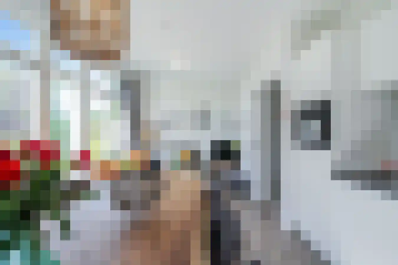 Akkerweg 41 Den Oever thumbnail 13