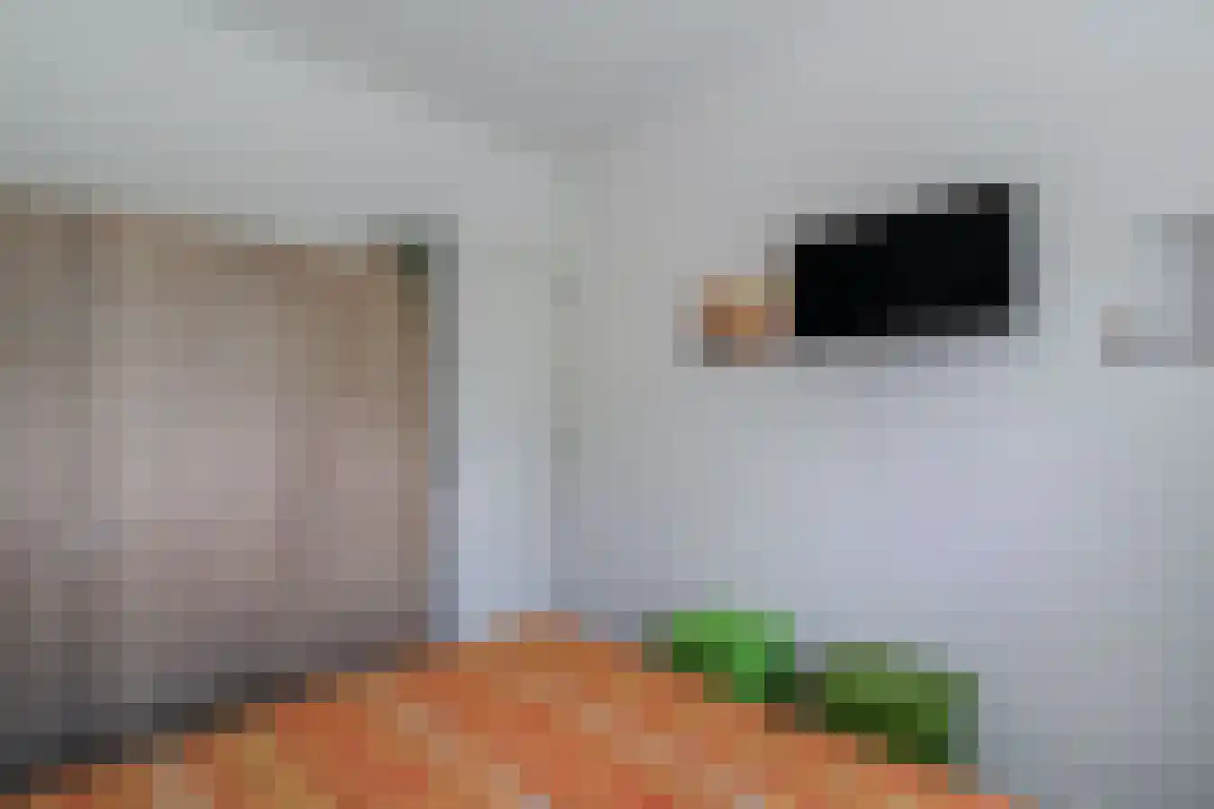 Akkerweg 41 Den Oever thumbnail 17