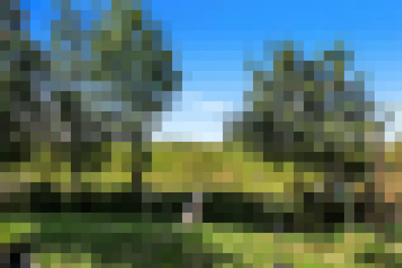 Akkerweg 41 Den Oever thumbnail 7