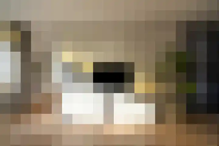 Akkerweg 5 Laren thumbnail 17