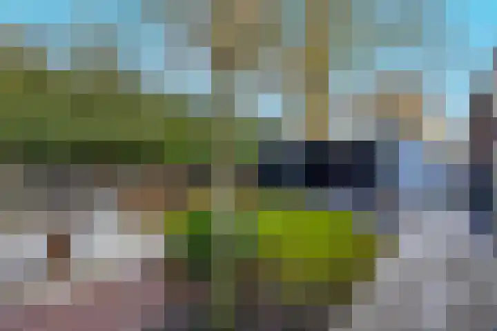Akkerweg 5 Laren thumbnail 47