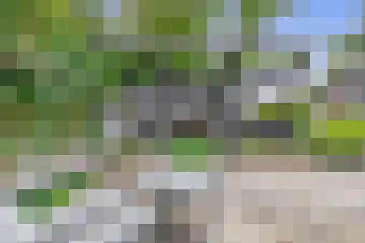 Akkerweg 50 Musselkanaal thumbnail 43