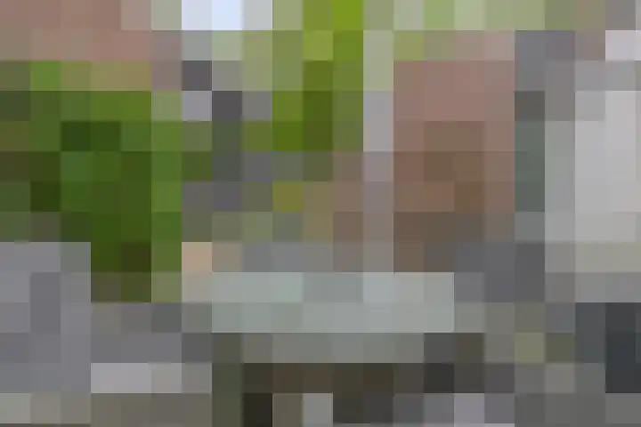 Akkerweg 50 Musselkanaal thumbnail 48