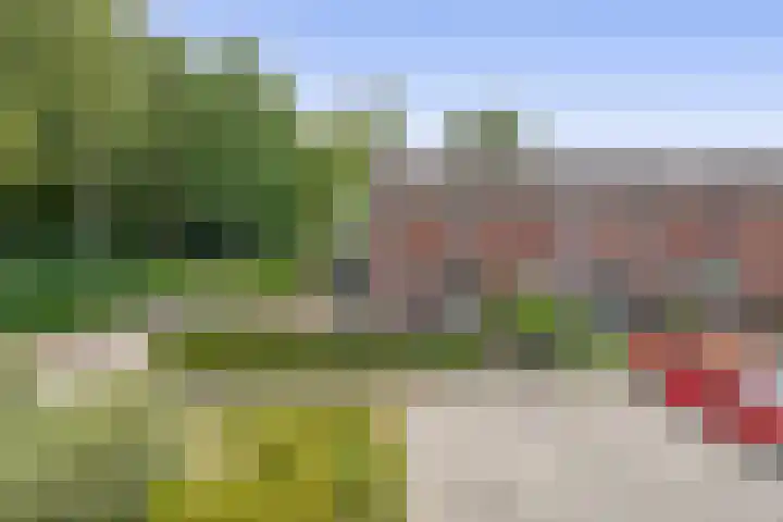 Akkerweg 50 Musselkanaal thumbnail 7