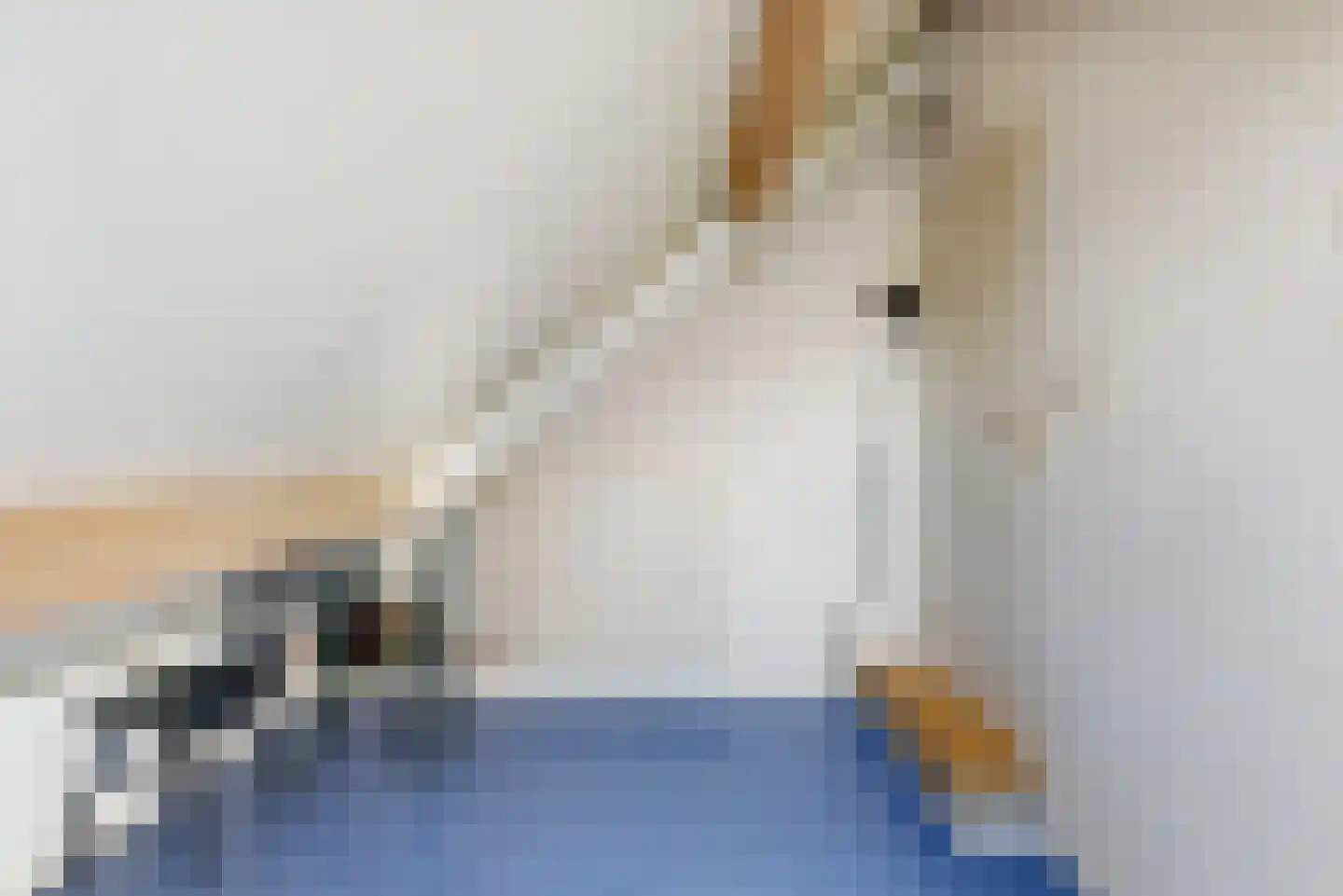 Akkerweg 7 Linne thumbnail 14