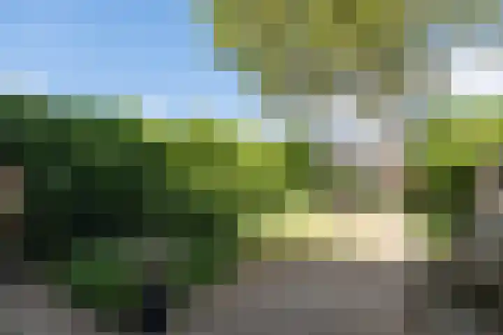 Akkerweg 76 Driebergen-Rijsenburg thumbnail 39