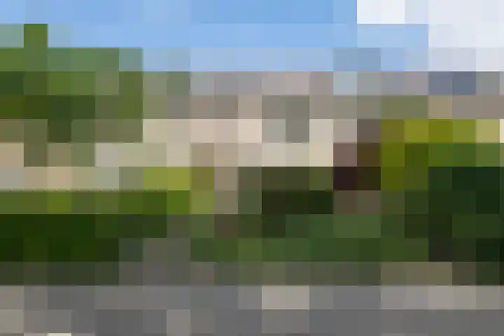 Akkerweg 76 Driebergen-Rijsenburg thumbnail 47