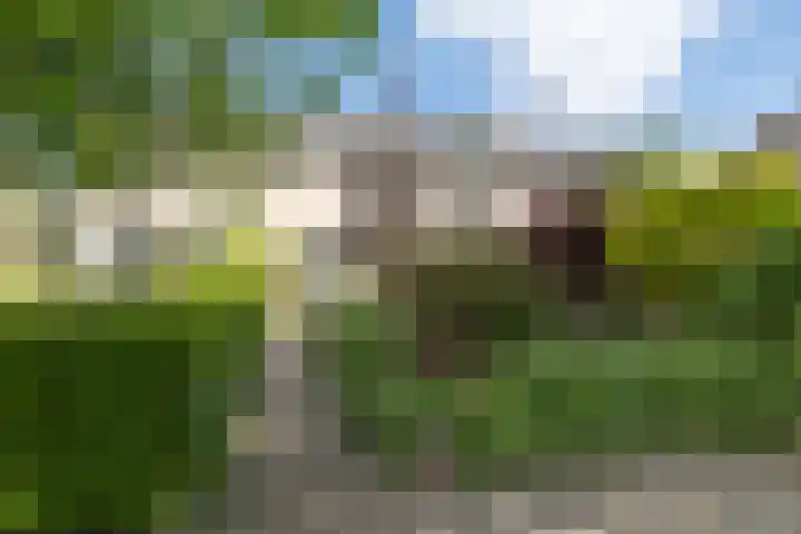 Akkerweg 76 Driebergen-Rijsenburg thumbnail 50