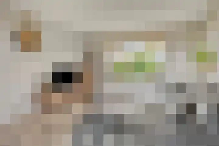 Akkerweg 8 Angerlo thumbnail 12