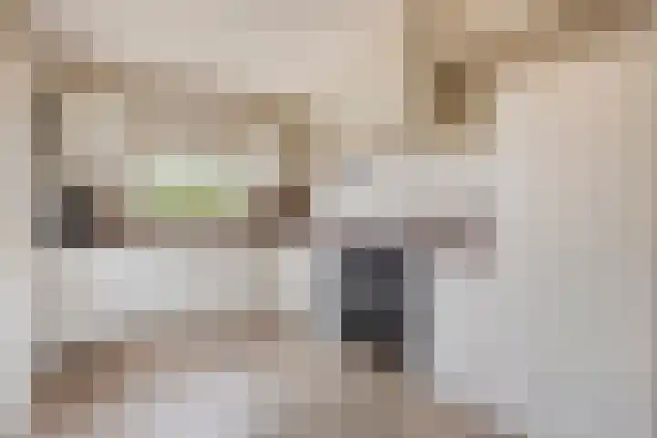 Akkerweg 8 Angerlo thumbnail 17