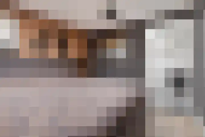 Akkerweg 8 Angerlo thumbnail 23