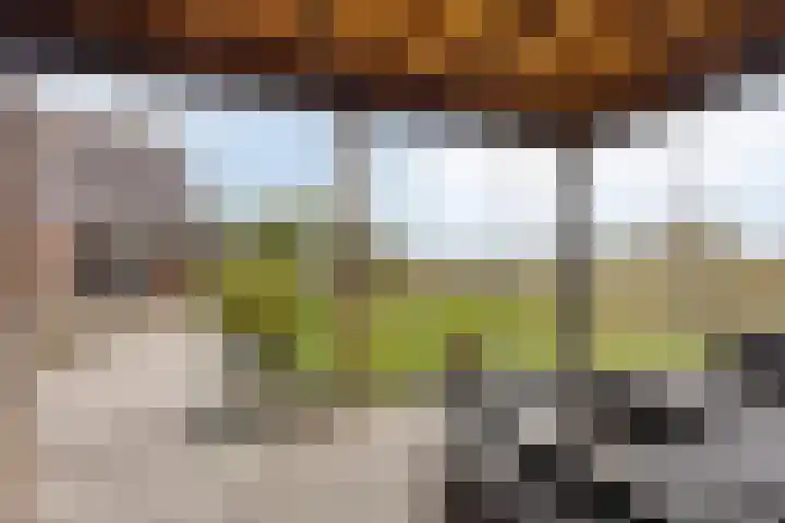 Akkerweg 8 Angerlo thumbnail 40