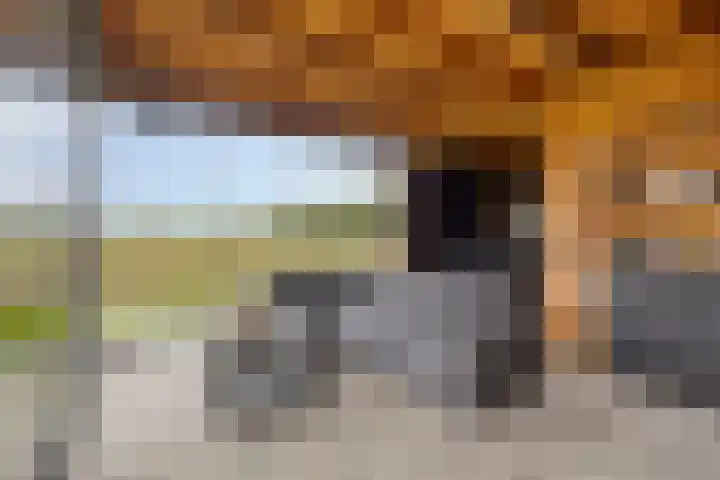 Akkerweg 8 Angerlo thumbnail 5