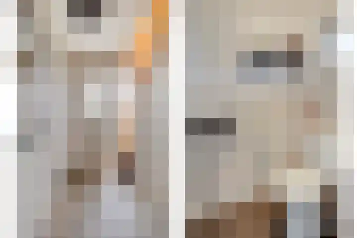 Akkerweg 8 Angerlo thumbnail 7