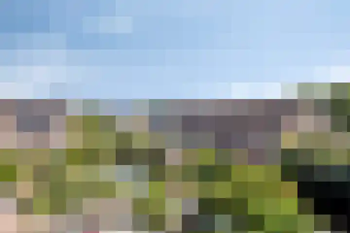 Akkerwinde 10 Barendrecht thumbnail 11