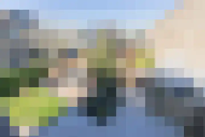 Akkerwinde 10 Barendrecht thumbnail 34