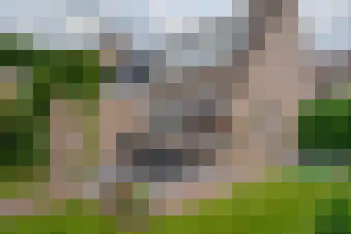 Akkerwinde 10 Barendrecht thumbnail 36